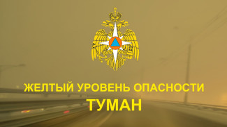 Штормовое предупреждение МЧС: туман вновь накроет Самару 2 февраля