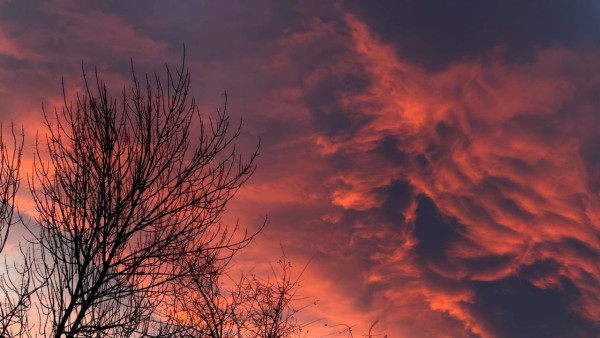 Появились кадры кровавого заката в Самаре 15 ноября