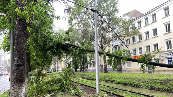 В Самарской области в течении дня 20 мая ожидается ещё большее усиления ветра