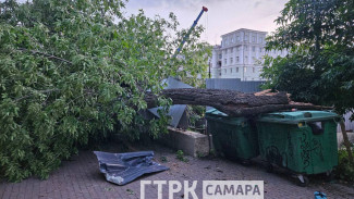В Самаре огромное дерево рухнуло на коляску с ребенком