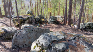 В лесах Самарской области до 15 октября объявлена боевая готовность