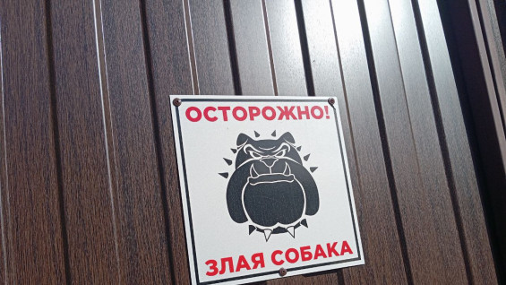 Тольяттинец отсудил у города 45 тысяч за укус чипированной собаки