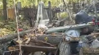 В Самаре названы сроки очистки от мусора кладбища на Мехзаводе