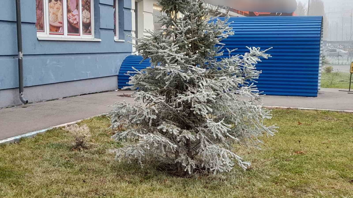 Народные приметы. 17 ноября: не делайте этого в Еремин день, если не хотите  потерять деньги и здоровье – Новости Самары и Самарской области – ГТРК  Самара