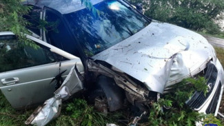 В Волжском районе девушка пострадала в ДТП — за рулём был бесправник