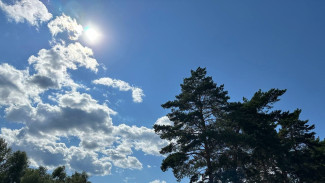 На выходных в Самарской области ожидается аномально тёплая погода