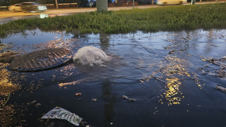 В Самаре затопило Московское шоссе из-за прорыва канализационной трубы