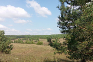 Самарцам показали на карте, где участникам СВО бесплатно предоставят землю