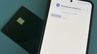 Самарцам рассказали, как защитить свой аккаунт в «Госуслугах» от мошенников