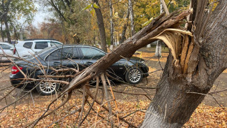 В Самарской области 12 сентября объявлен жёлтый уровень опасности из-за ветра 