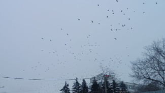 Губернатор В. Федорищев рассказал о последствиях атаки БПЛА на Самарскую область