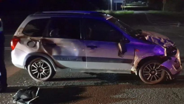 В Самарской области водитель сбил корову