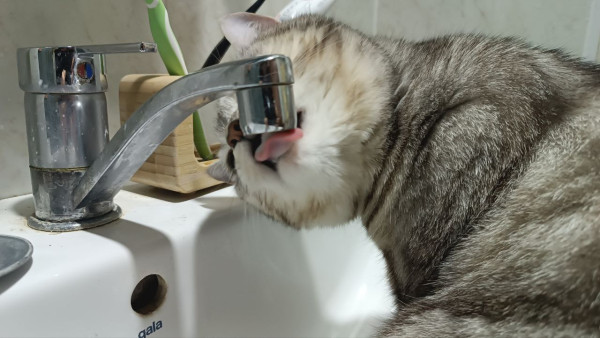 31 октября в Самаре временно останутся без воды 15 улиц 