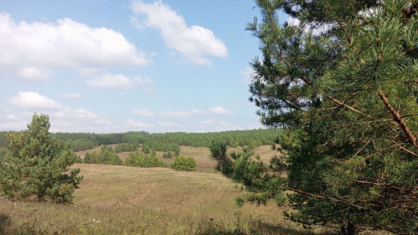 МЧС продлило высокий уровень опасности в Самарской области до 25 сентября