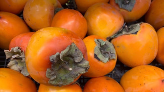 Самарцам рассказали, почему хурма опасна для кишечника