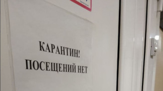 В Самарской области введён карантин из-за опасного бактериального заболевания