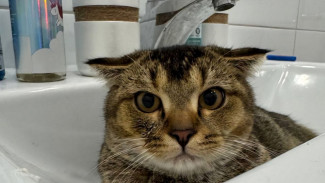 Самарцам рассказали, где в течение следующей недели отключат воду из-за ремонтных работ