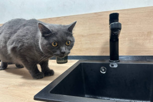 В Самаре жители 11 улиц могут остаться без холодной воды в период с 13 по 19 декабря