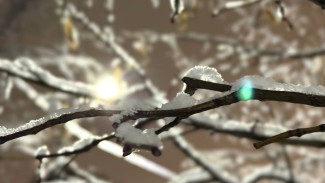 18 декабря в Самарскую область придет потепление до +1ºС