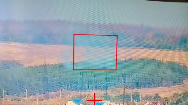 В Самарской области остановлено 2 лесных пожара