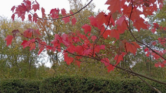 На Самару обрушилась сильная магнитная буря