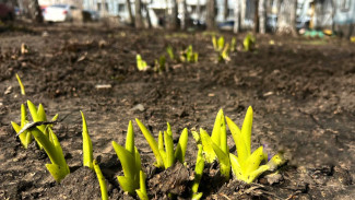 В Самаре перекрыт абсолютный температурный рекорд по жаре в апреле