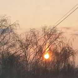 В Самарской области в ночь на 17 января объявили угрозу атаки БПЛА