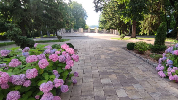 7 июля в Самаре ожидается приятный летний день