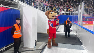 В Самаре отменили хоккейный матч из-за скорой помощи