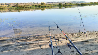 Жителей Самарской области приглашают принять участие во Всероссийской акции «День без сетей»