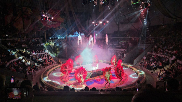 В Самарском цирке состоялось премьерное выступление «Тропик шоу»