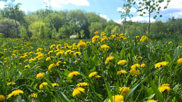 В Самарскую область придет плюс 23 °C