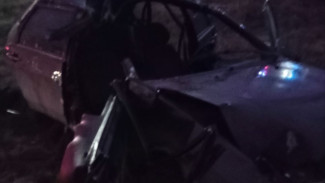 Под Самарой легковушка сбила лося и вылетела в кювет 2 декабря 