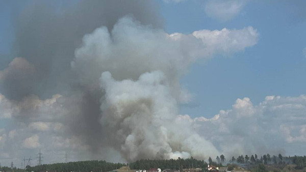 Стало известно, что загорелось 5 августа в Самарской области 