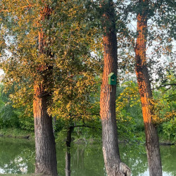 Самый страшных грех! Что категорически нельзя делать в Куприянов день 13 сентября