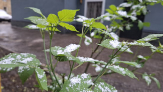 Синоптики рассказали, когда в Самарской области начнется зима