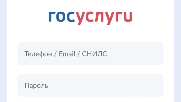 Самарцы смогут заключать сделки по купле-продаже автомобилей через Госуслуги