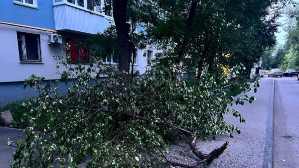 На Самарскую область 10 мая обрушится гроза и ураганный ветер