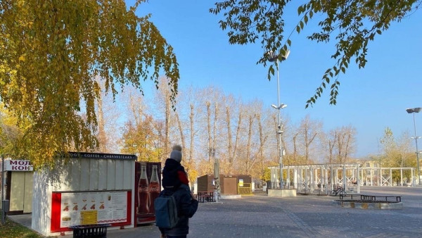 Стало известно, куда пропали качели в Струковском саду