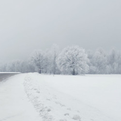 Самарскую область заметёт 13 декабря 2025 года