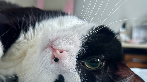 Народные приметы 25 февраля: не делайте в день Алексея Рыбного, чтобы не накликать беду 