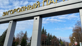 В Загородном парке хотят оборудовать фонтан и ещё больше 30 объектов