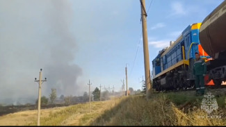 В Самарской области в зоне лесного пожара остановился поезд 