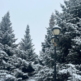 Последняя неделя зимы 2026 года в Самарской области окажется морозной