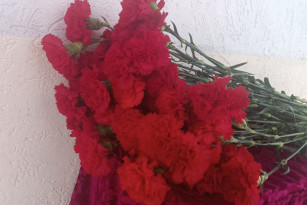 СК выясняет причину суицида двух школьниц под Самарой