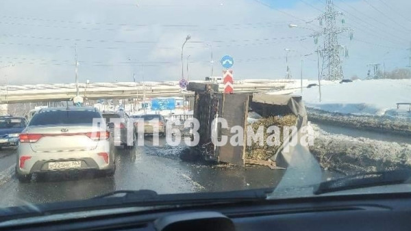 Видео. В Самаре на Демократической перевернулся прицеп с лошадью