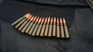 В Самарской области у жителя Челно-Вершин изъяли оружие с оптическим прицелом