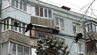 Гидрометцентр России опубликовал прогноз погоды на январь 2026 года для Самары