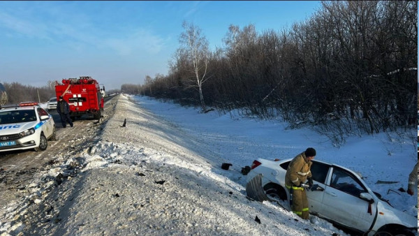 В Кинель-Черкасском районе произошло смертельное ДТП