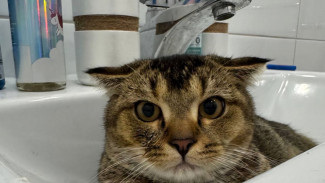 Эксперт в ЖКХ Чирков рассказал о возможности снижения платежей до 30 процентов